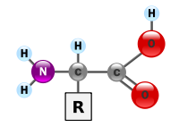 Vai trò của Amino acid và cách sử dụng cho các giai đoạn trên cây ăn trái